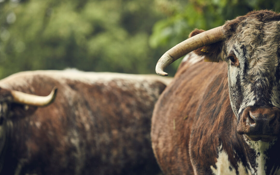 Sustainably raised